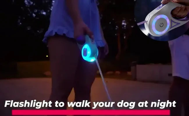 Dog Leash with Light: Stay Safe on Nighttime Walks Now!