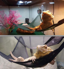 Create a Cozy and Fun Space for Your Reptile