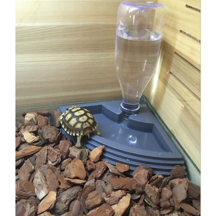 Keep Your Reptile Hydrated and Healthy with Ease