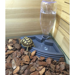 Keep Your Reptile Hydrated and Healthy with Ease