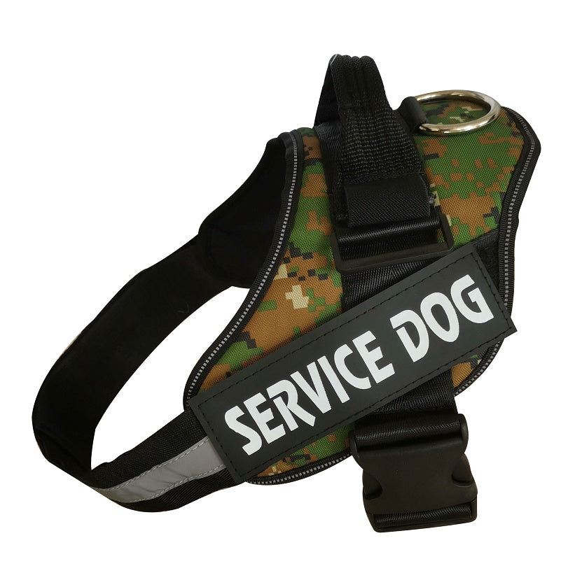 Enhance Comfort and Safety for Your Beloved Pet Outdoors