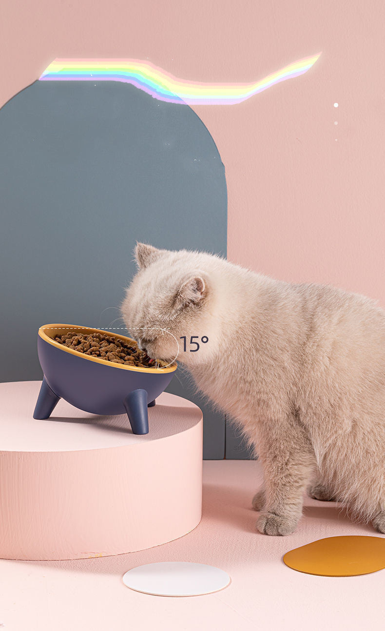 Enhance Pet Comfort and Health with a Stable Feeding Bowl