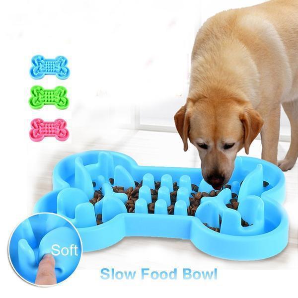 Support Your Pet's Digestion with This Slow Feeder Bowl