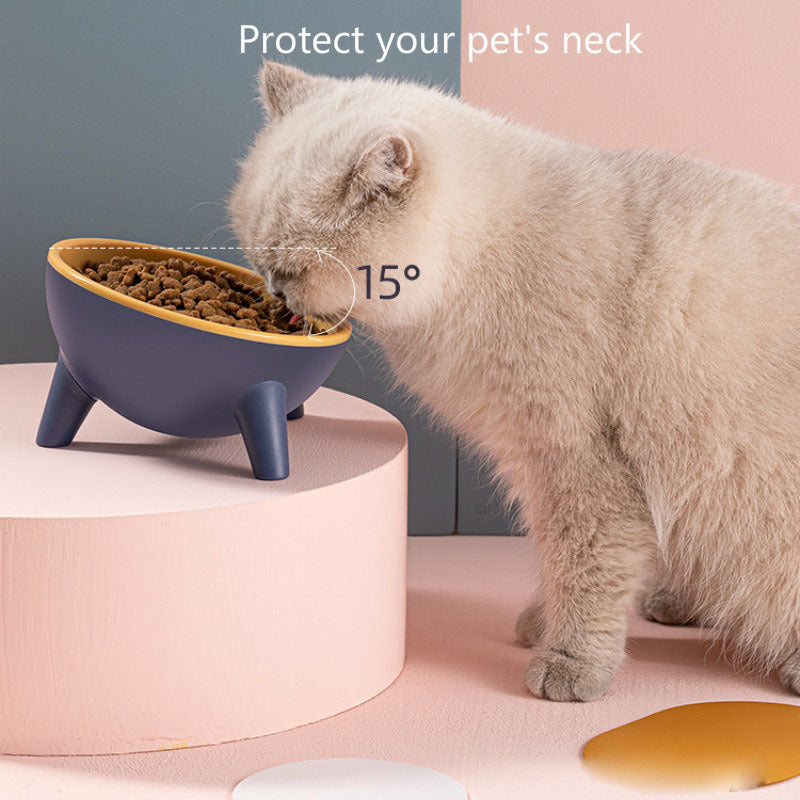 Enhance Pet Comfort and Health with a Stable Feeding Bowl