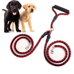 Handle Two Dogs Effortlessly with This Double-Ended Traction Rope