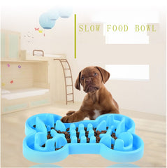 Support Your Pet's Digestion with This Slow Feeder Bowl