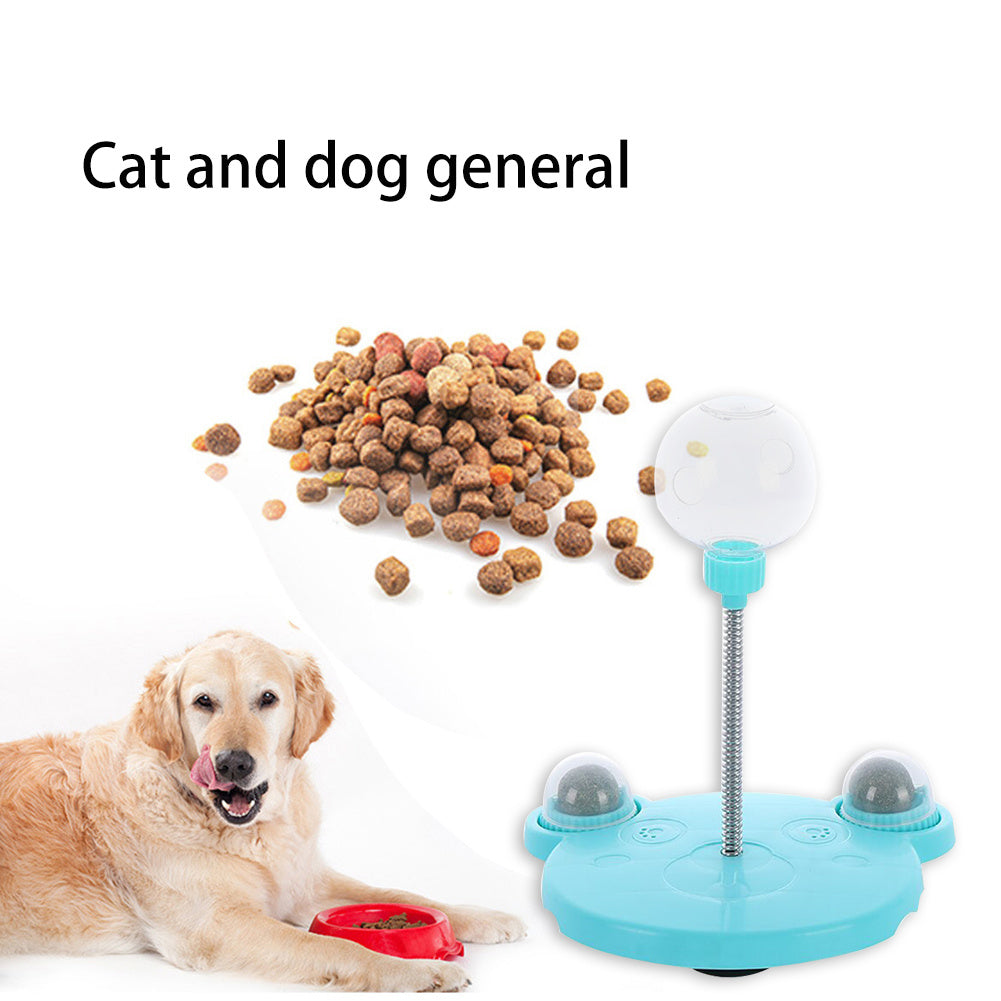 Promote Healthy Eating and Playtime Fun for Your Pets