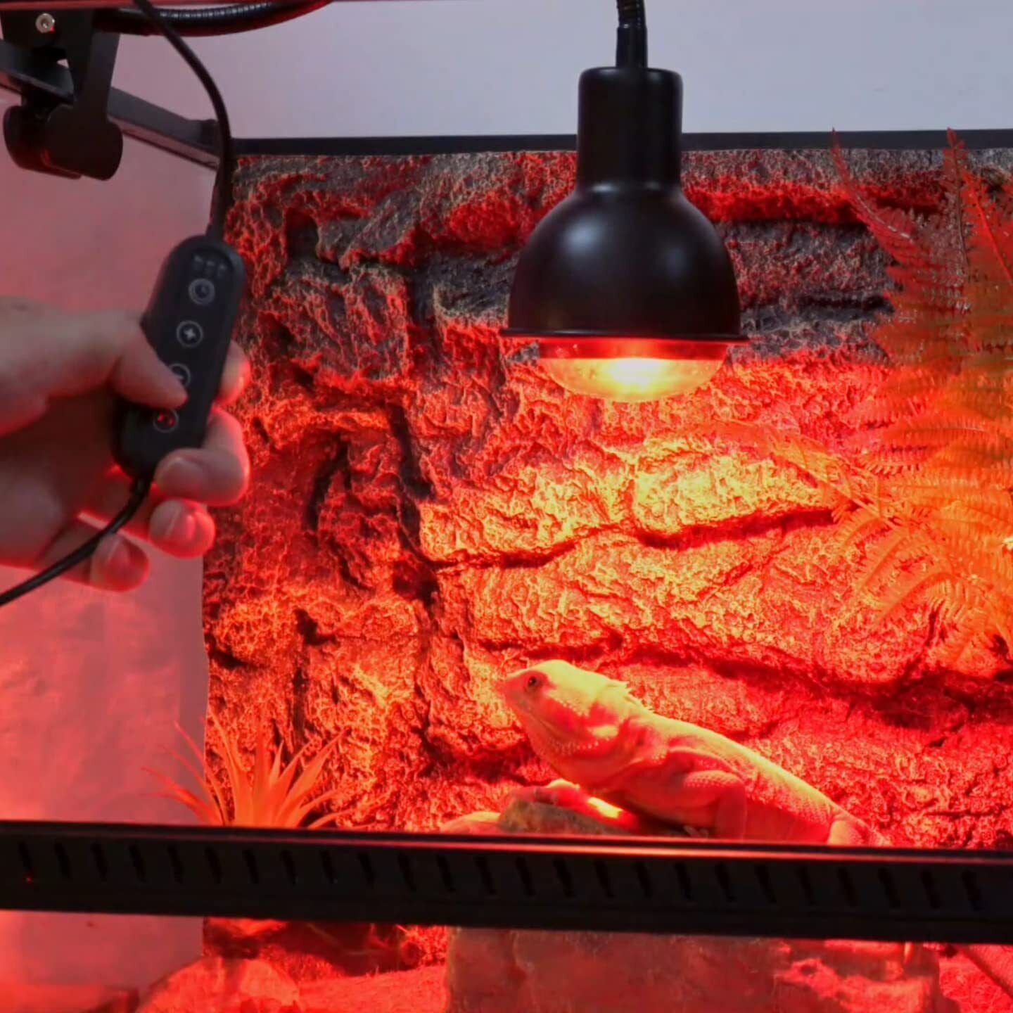 Keep Your Reptile Warm and Healthy with This Heat Lamp