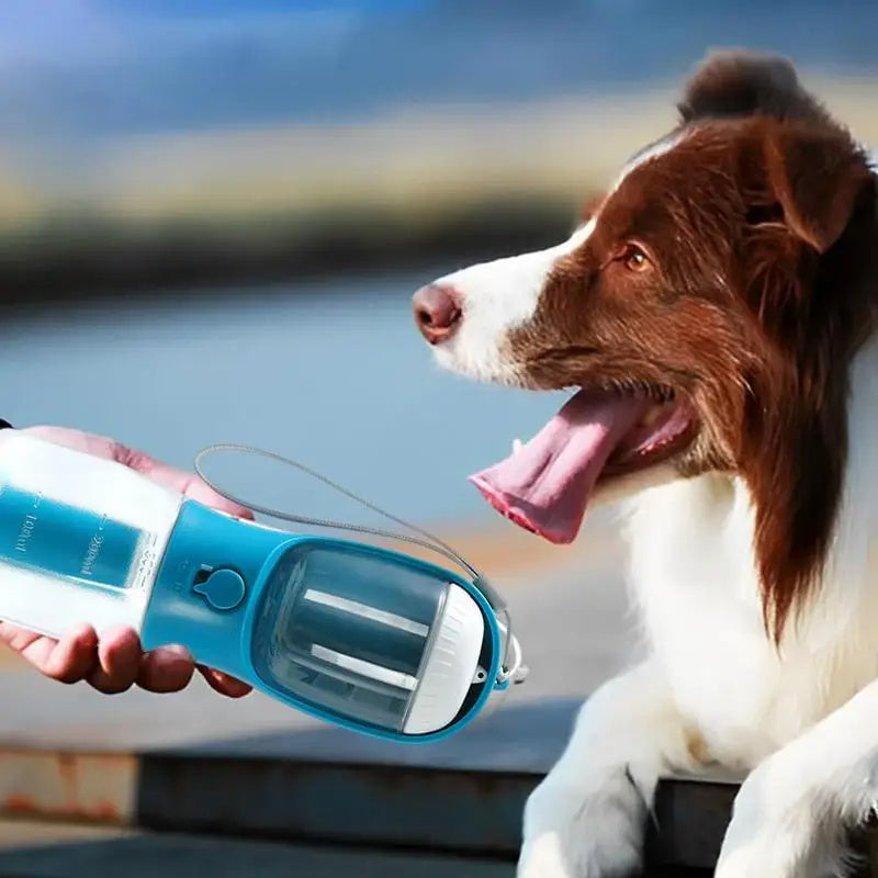 Simplify Walks and Travel with This All-in-One Pet Cup