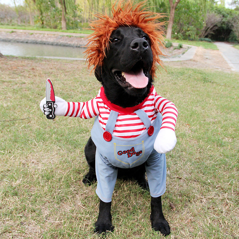 Make Your Pet the Star of Halloween with This Fun Costume