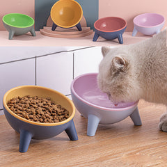 Enhance Pet Comfort and Health with a Stable Feeding Bowl