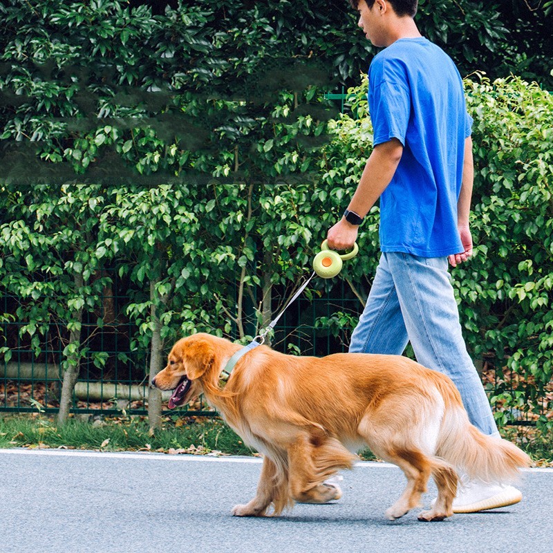 Reflective Retractable Dog Leash: Adventure-Ready for Passionate Pet Owners!