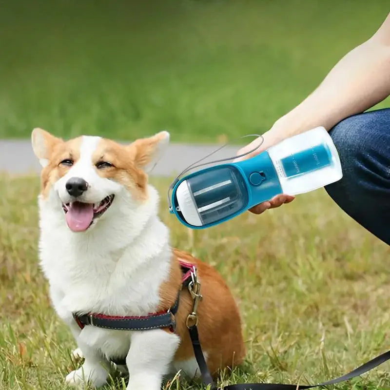 Simplify Walks and Travel with This All-in-One Pet Cup