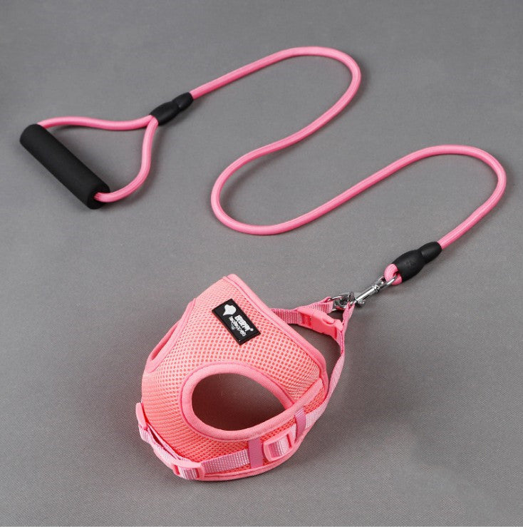 Fantastic Leash and Harness for Toy Dogs: Comfort and Control