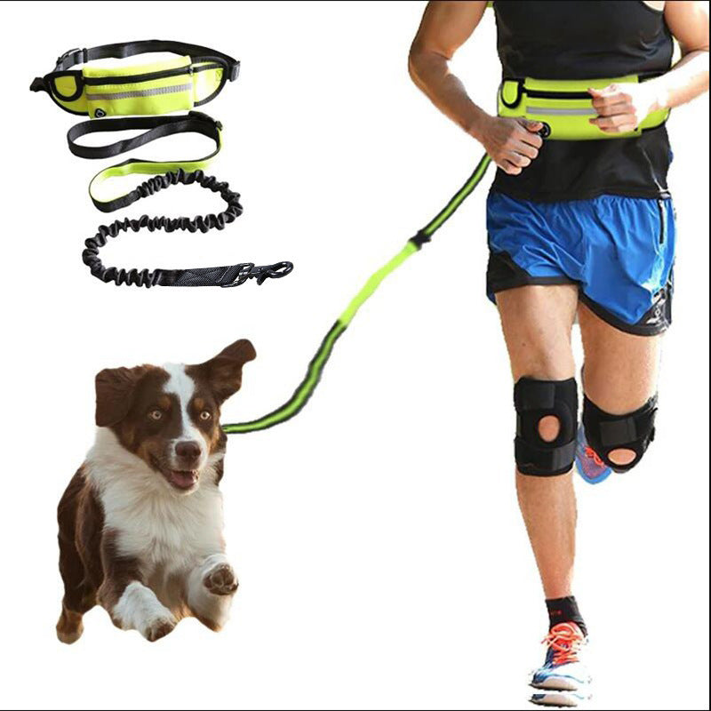 Hands-Free Dog Leash with Bungee, Phone Pocket, & Bottle