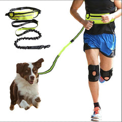 Hands-Free Dog Leash with Bungee, Phone Pocket, & Bottle