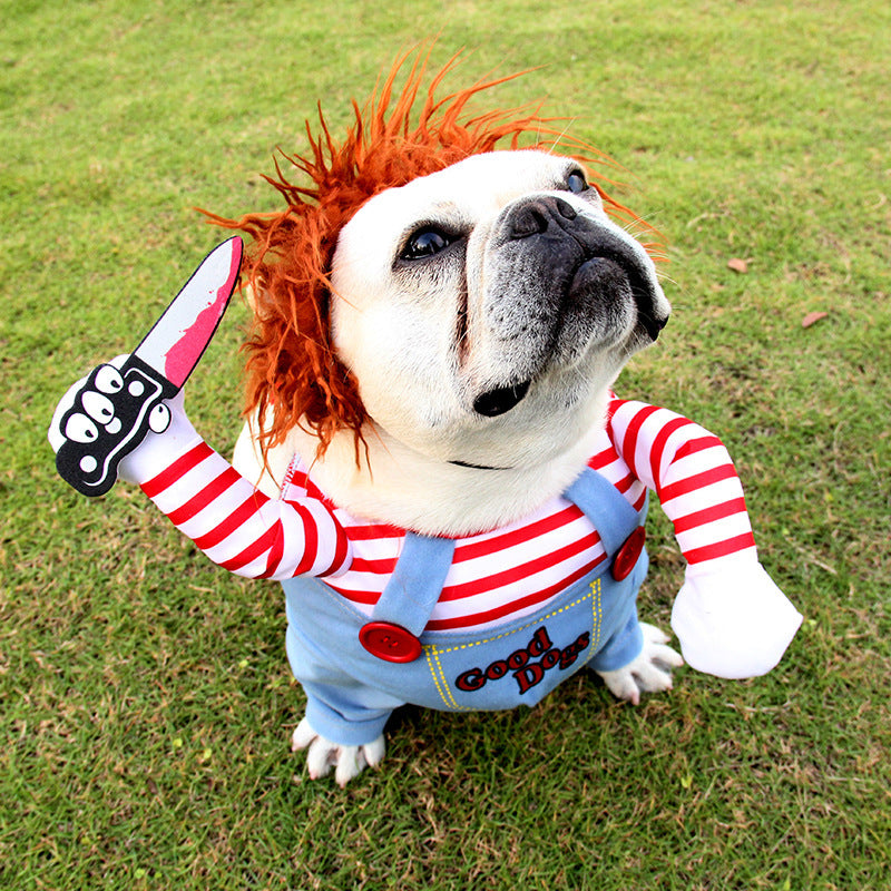 Make Your Pet the Star of Halloween with This Fun Costume