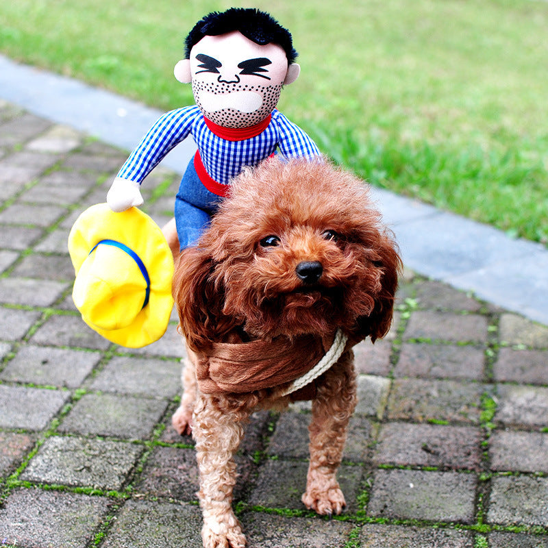 Make Your Pet the Star of Halloween with This Fun Costume