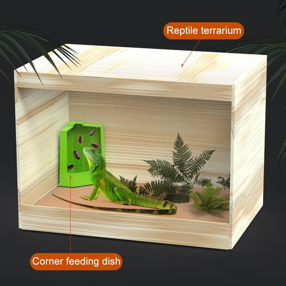 Save Space and Simplify Feeding with This Reptile Feeder