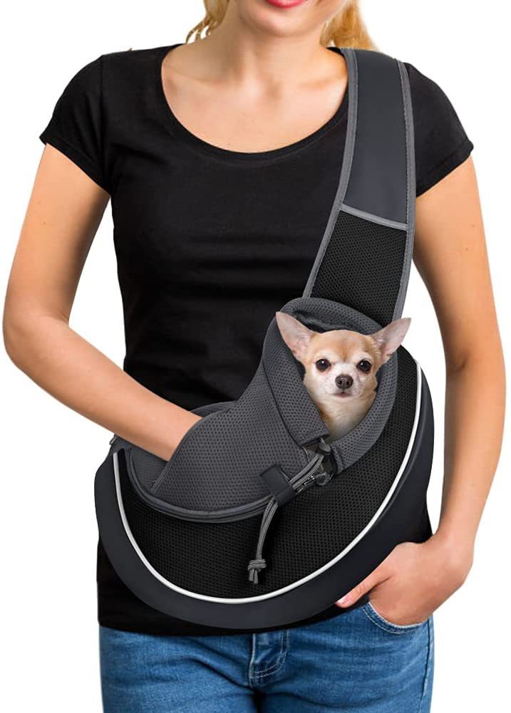 Enjoy Stress-Free Outings with a Comfy, Secure Pet Carrying Bag