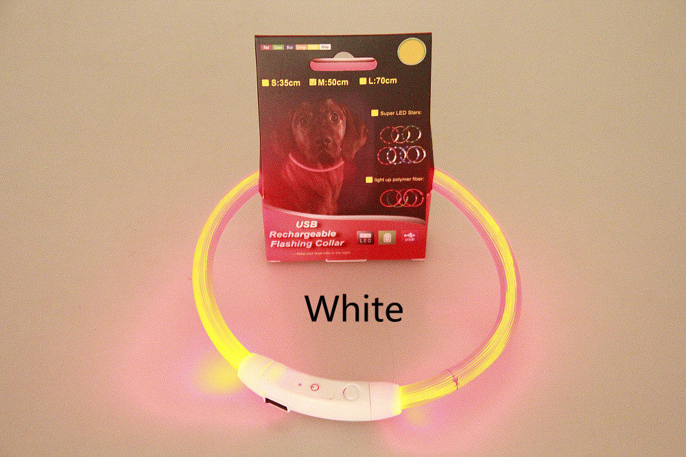 Flashing LED Pet Collar for Night Safety and Visibility