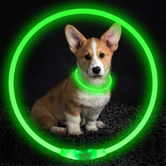 Flashing LED Pet Collar for Night Safety and Visibility