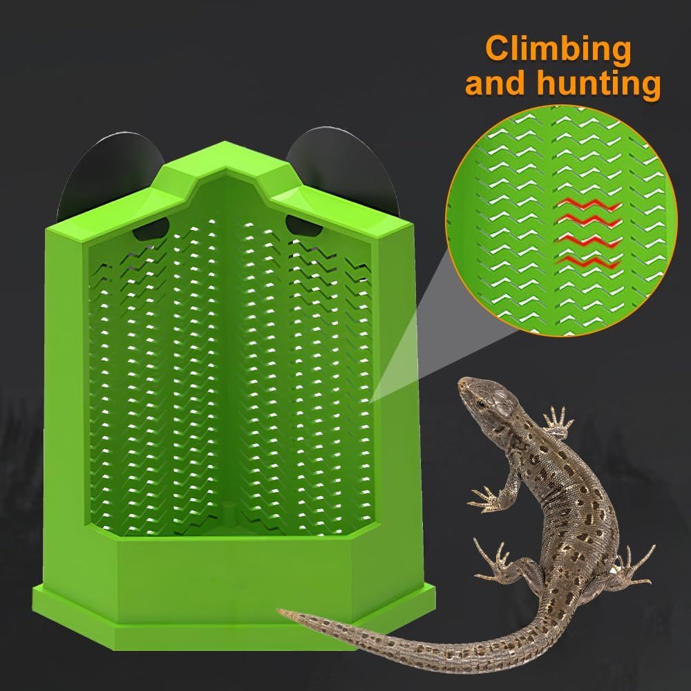 Save Space and Simplify Feeding with This Reptile Feeder