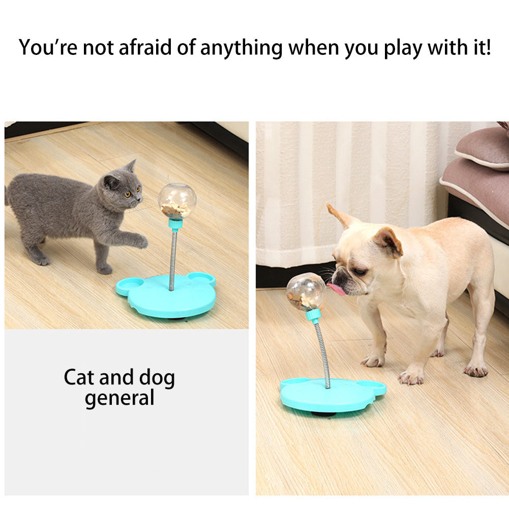 Promote Healthy Eating and Playtime Fun for Your Pets