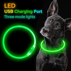 Flashing LED Pet Collar for Night Safety and Visibility