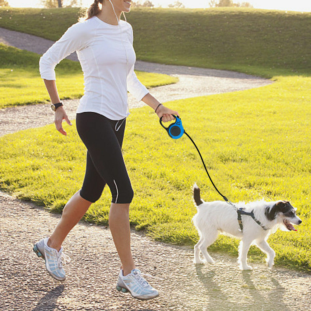 Tangle-Free Retractable Dog Leash