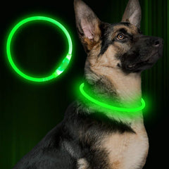 Flashing LED Pet Collar for Night Safety and Visibility