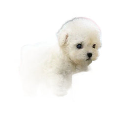 Robot Puppy Short Plush Doll - realistic robot puppy