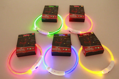 Flashing LED Pet Collar for Night Safety and Visibility