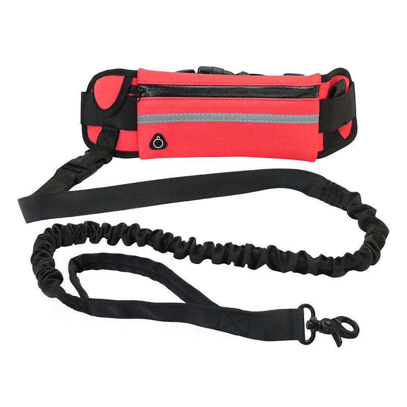 Hands-Free Dog Leash with Bungee, Phone Pocket, & Bottle